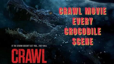 alligator crawler site|crawl 2019 alligator.